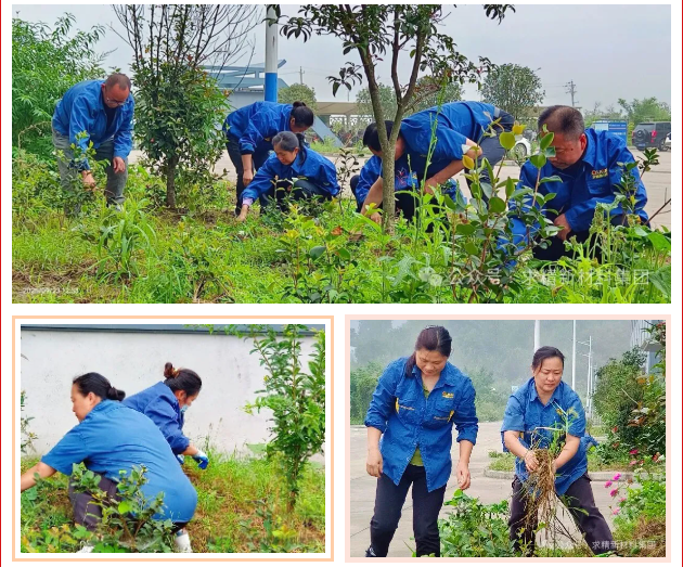 ScreenShot_2025-10-10_153931_156